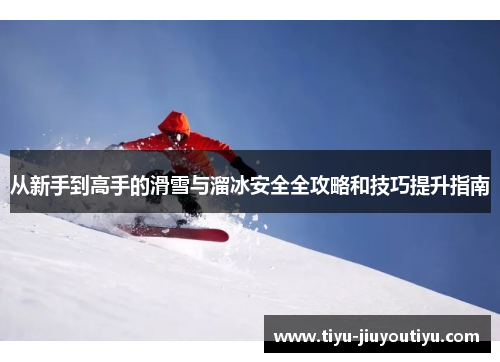 从新手到高手的滑雪与溜冰安全全攻略和技巧提升指南
