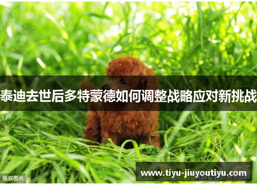 泰迪去世后多特蒙德如何调整战略应对新挑战 泰迪去世后多特蒙德如何调整战略应对新挑战