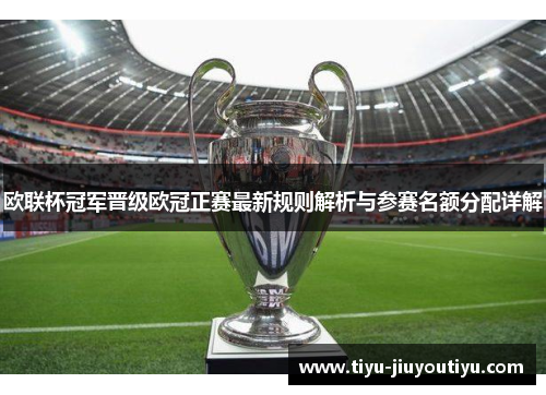 欧联杯冠军晋级欧冠正赛最新规则解析与参赛名额分配详解